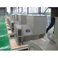 AC Generator/Alternator Double Bearing (JDG)